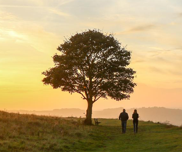 Tree with 2 people standing next to it.